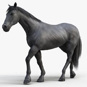 Horse PRO ( Black ) 3D model